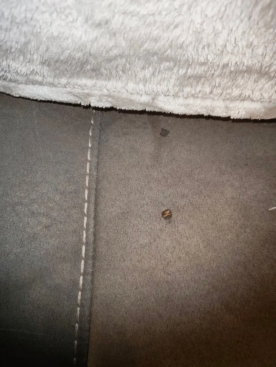 Recliner - Image 4