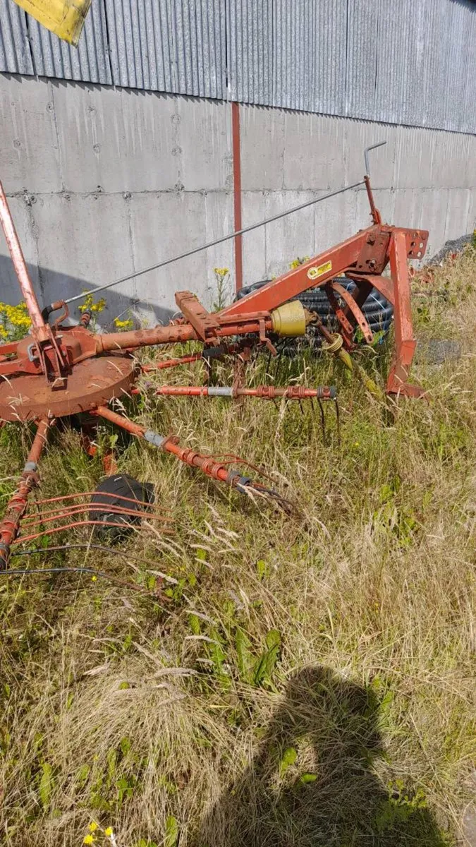 Yard clearance - Image 1