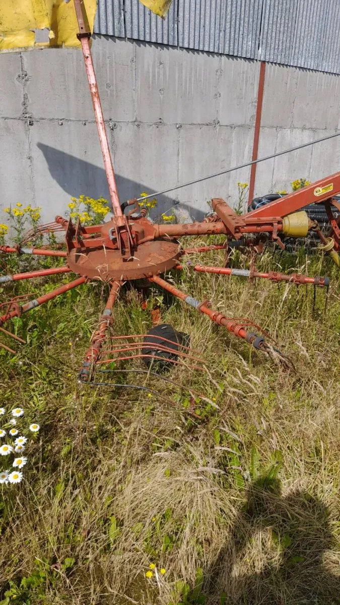 Yard clearance - Image 2