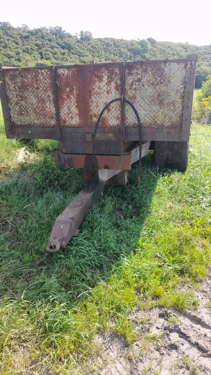 Yard clearance - Image 4