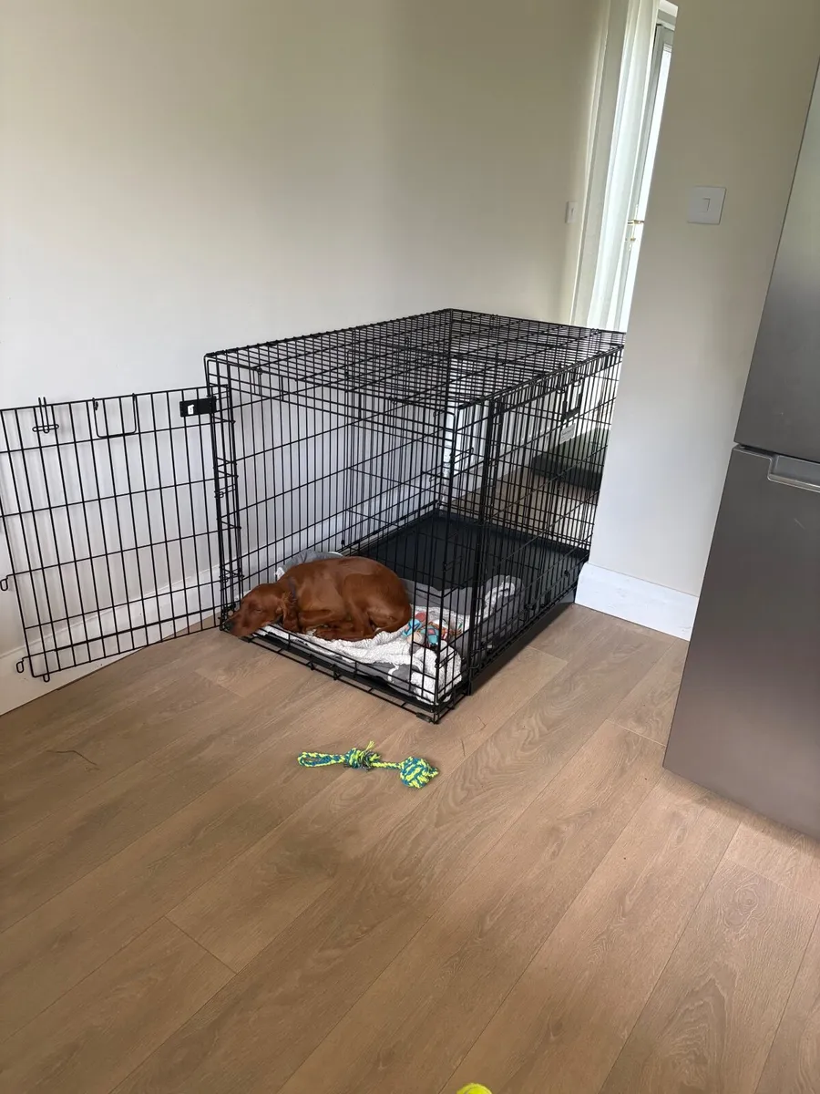 Dog crate and dog bed used for 1 week - Image 1