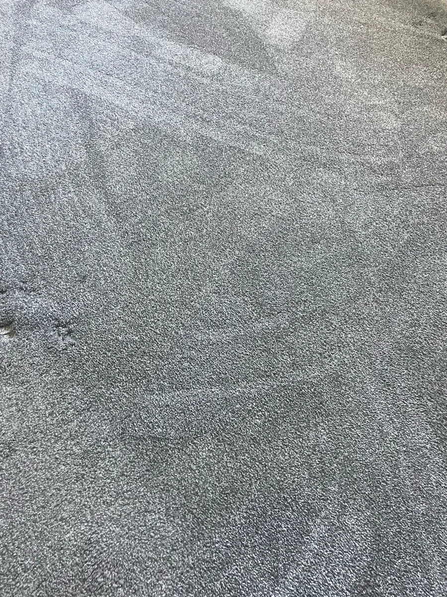 Bedroom Carpet - Image 3