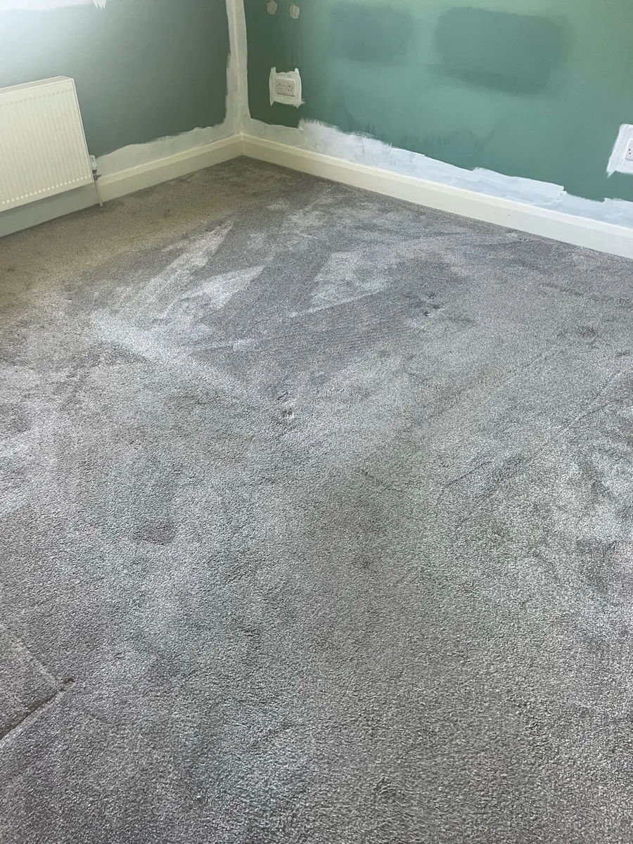 Bedroom Carpet - Image 1