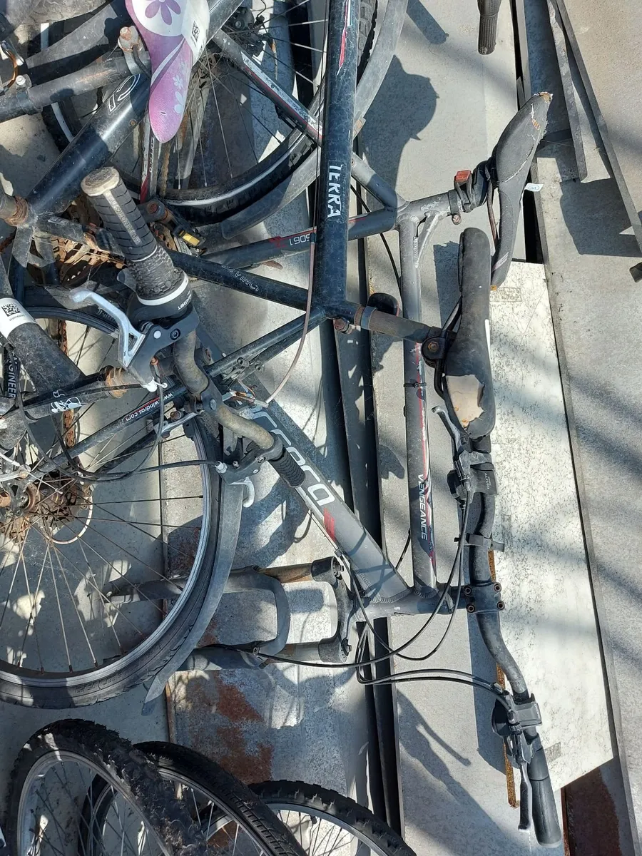 Online Push Bikes & Scooters Auction - Image 1