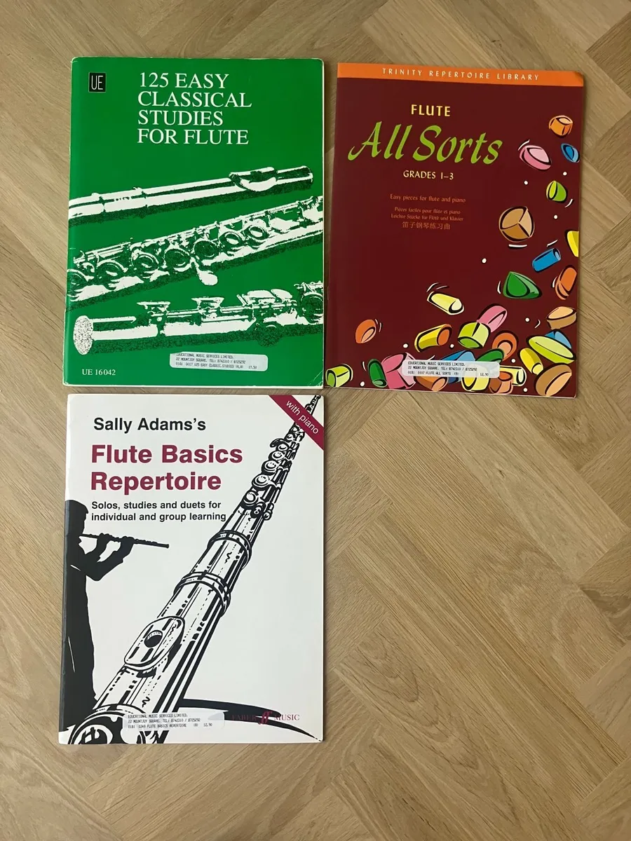 Music books for Recorder and Flute - Image 2