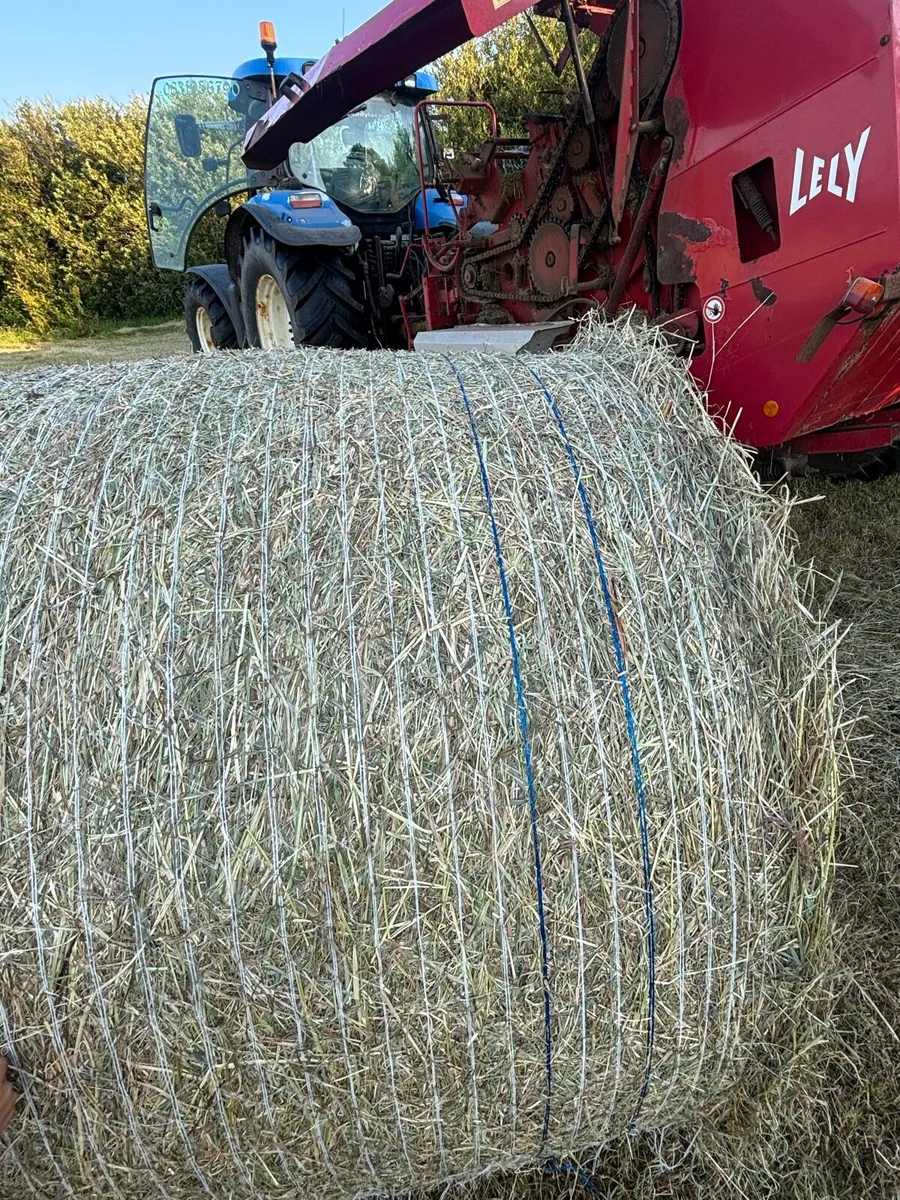 Hay - Image 1