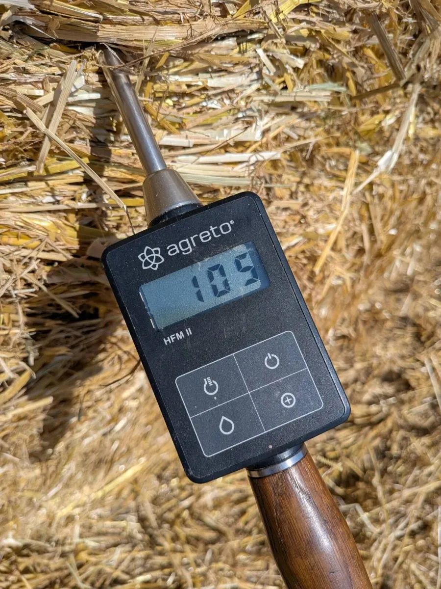 Barley straw - Image 2