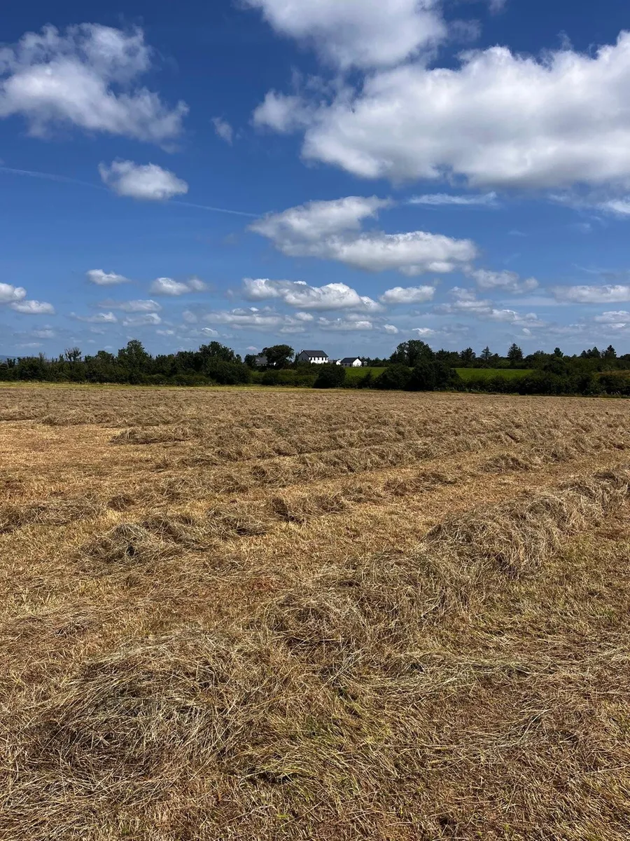 Square baled hay 2026 - Image 1