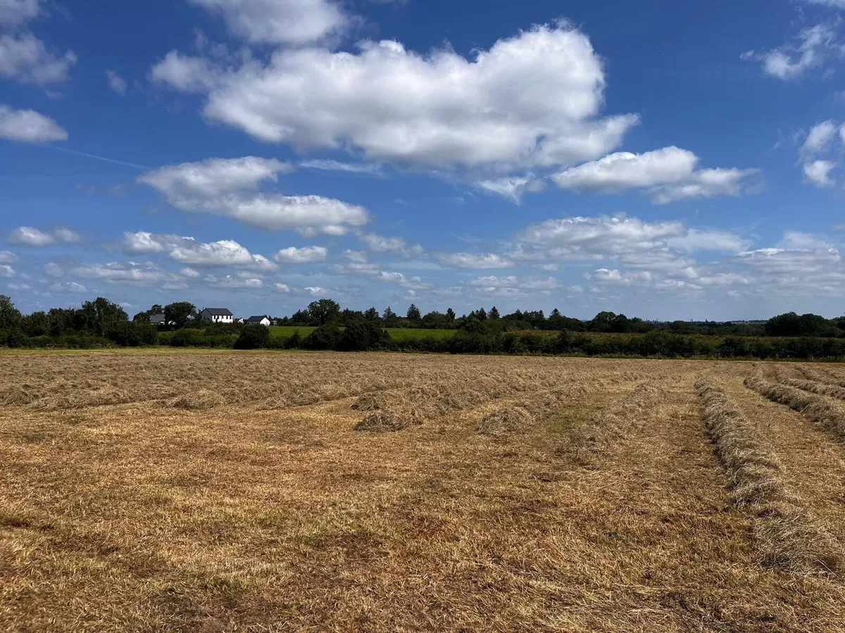 Square baled hay 2026 - Image 2