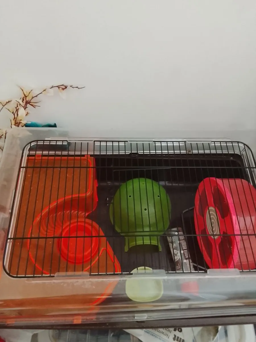 Hamster cage