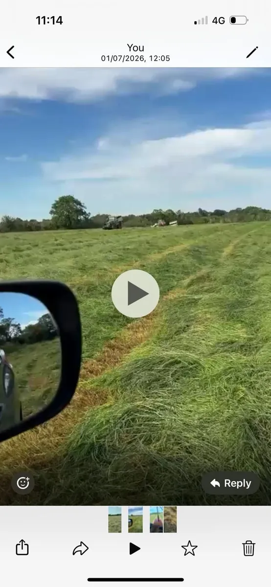 Hay - Image 1