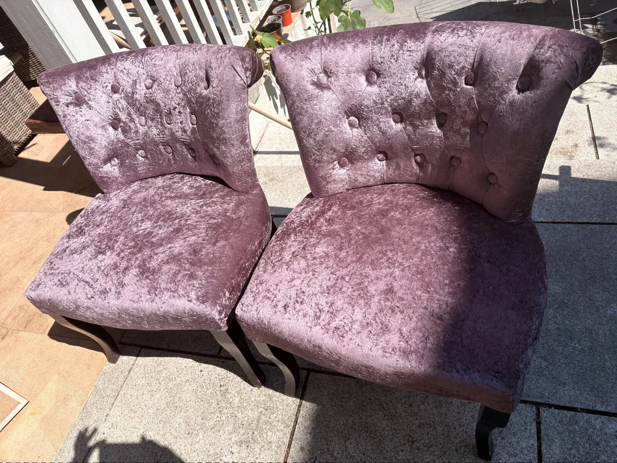 Living room chairs - Image 1