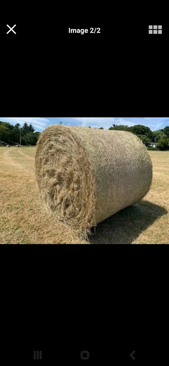 Hay for sale - Image 1