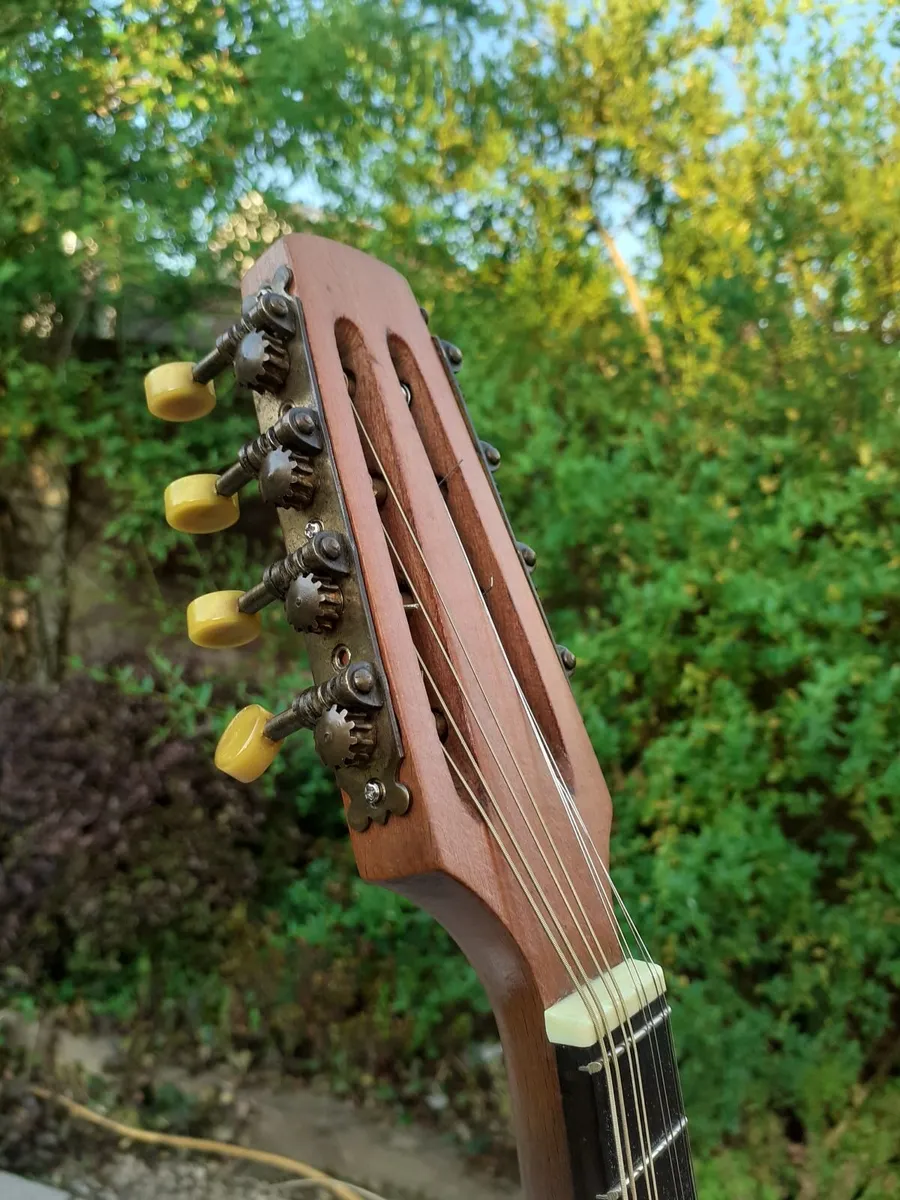 Banjo Mandolin - Image 3
