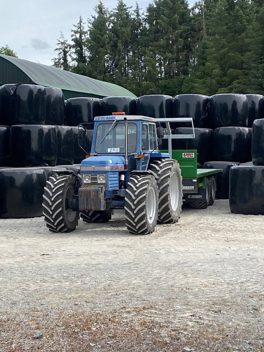 Hay/Haylage. - Image 1