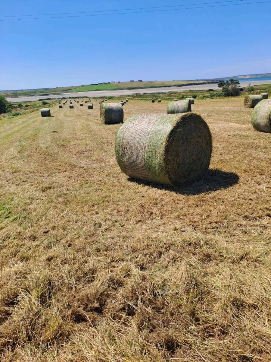 Bales - Image 1