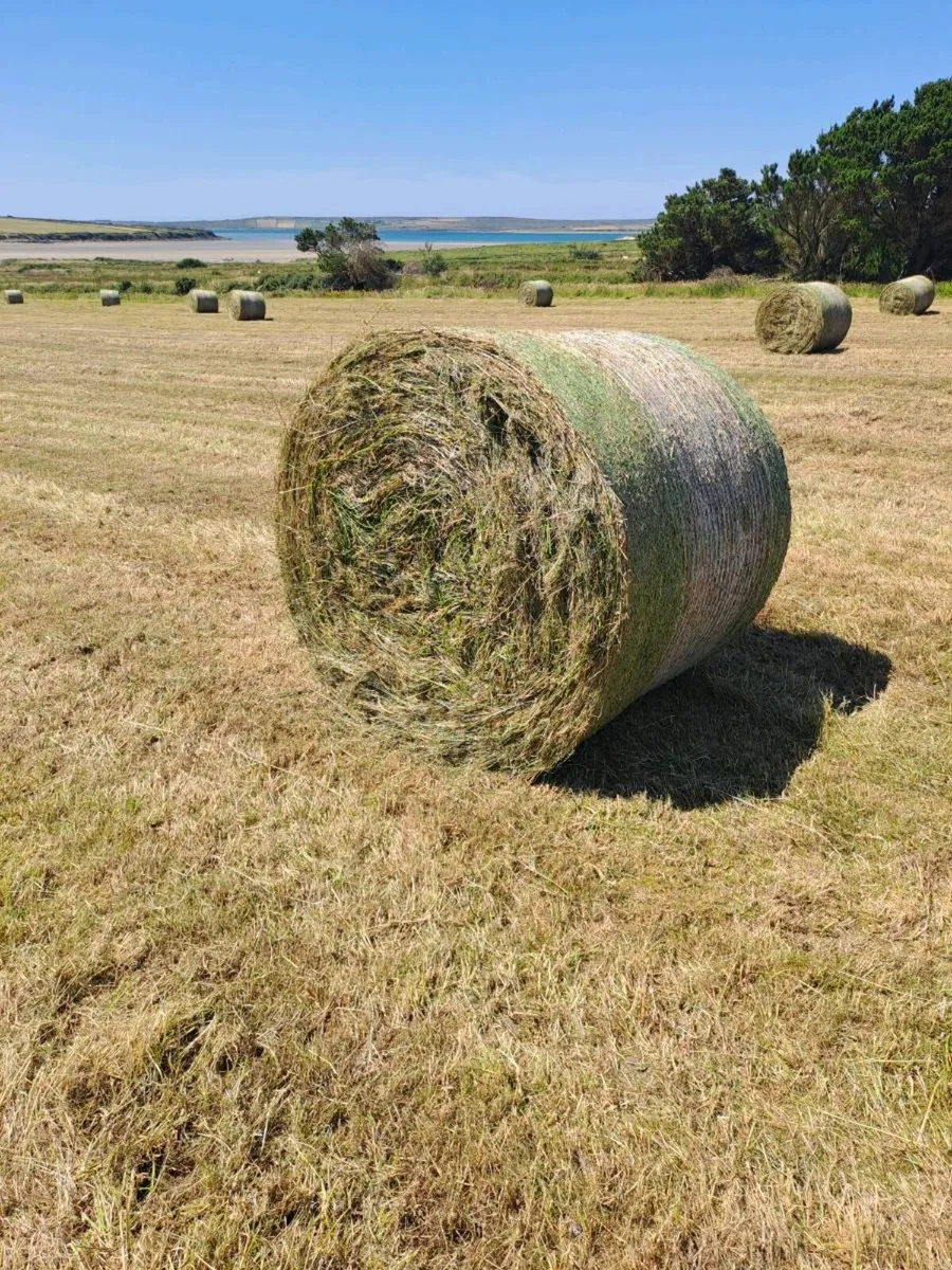 Bales - Image 2