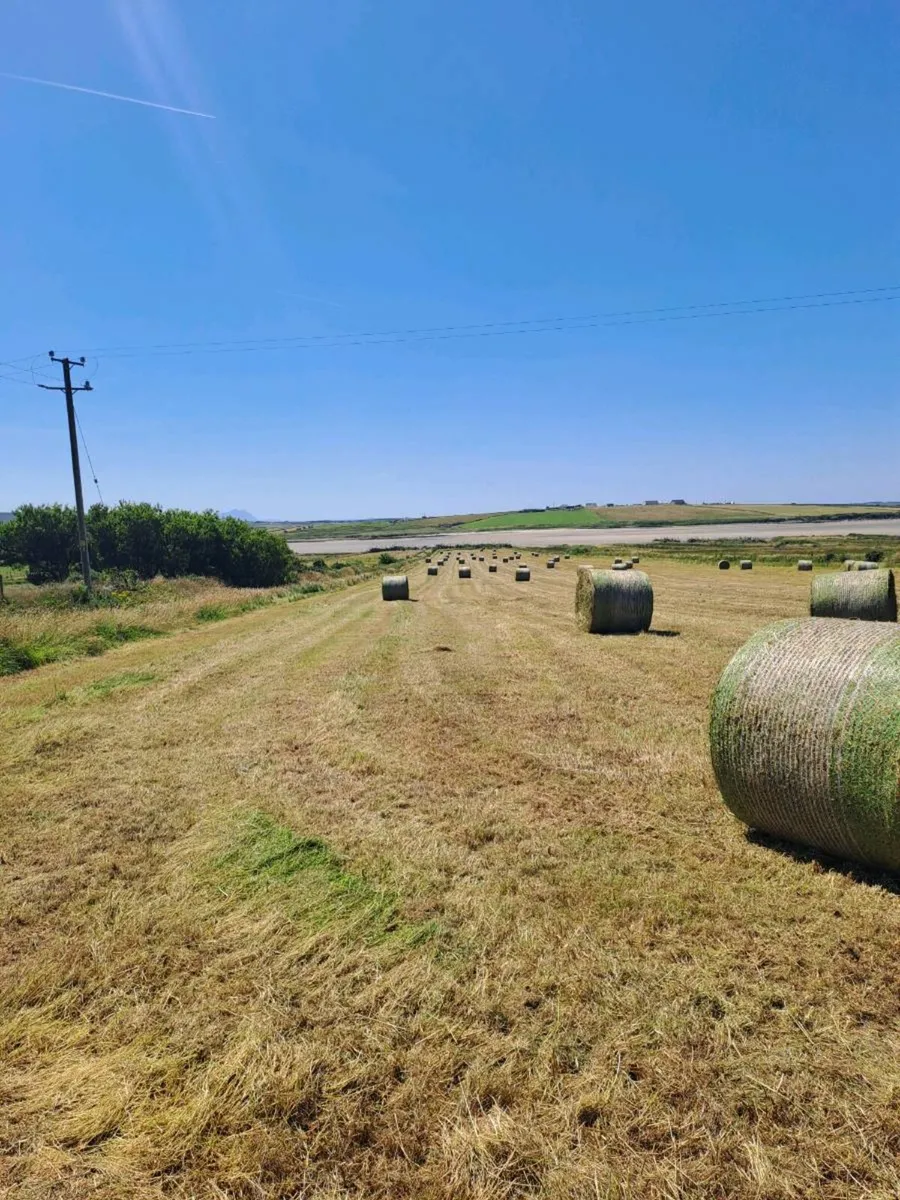 Bales - Image 3