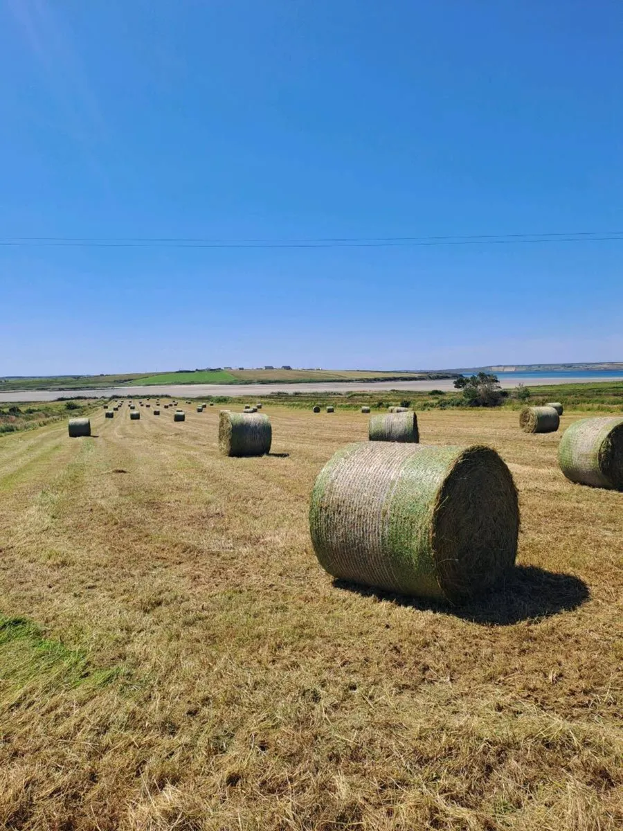 Bales - Image 4