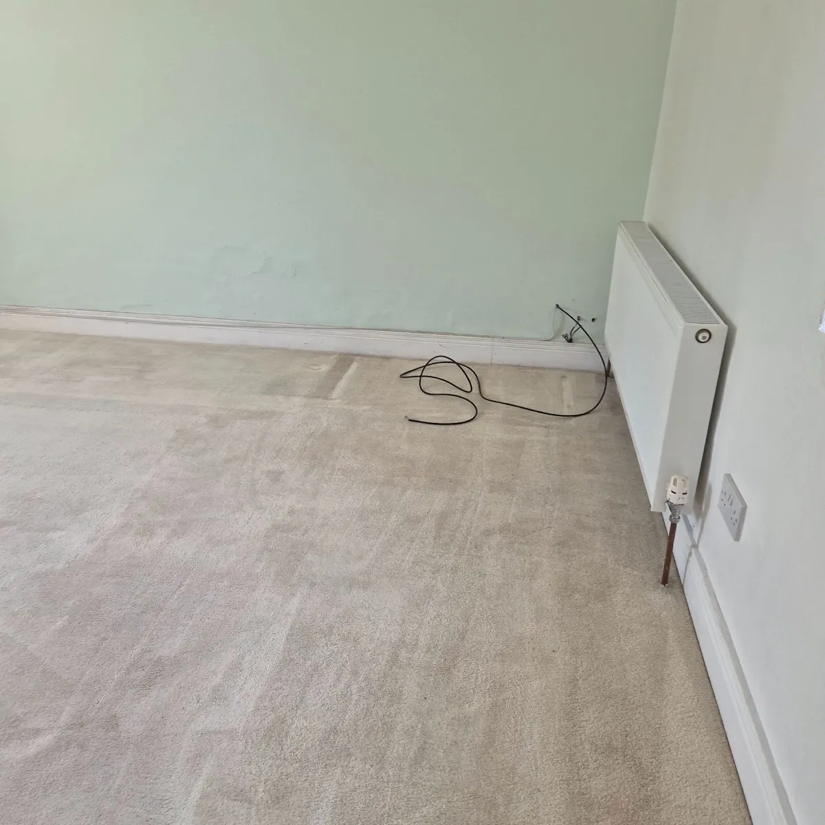 Free old carpet - Image 1