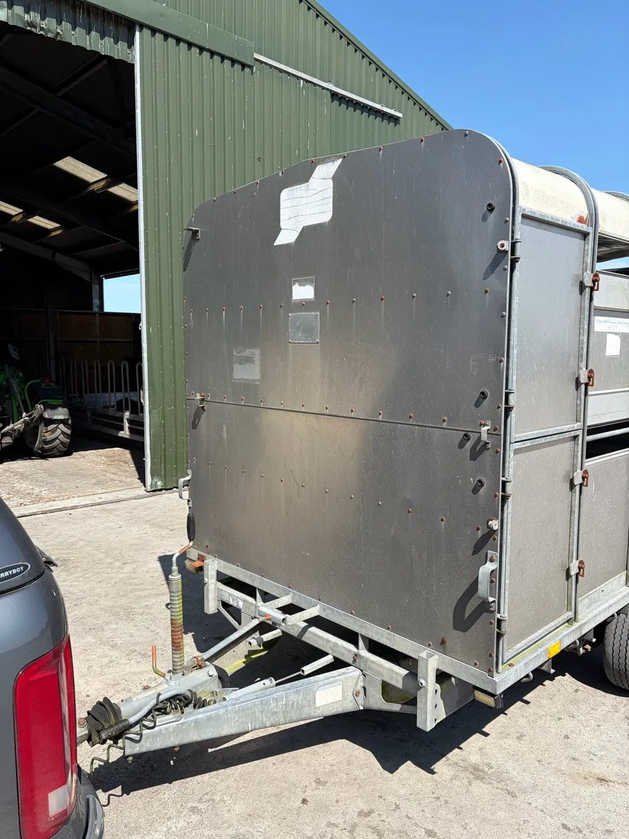 12x6;6 ifor Williams cattle and sheep - Image 4