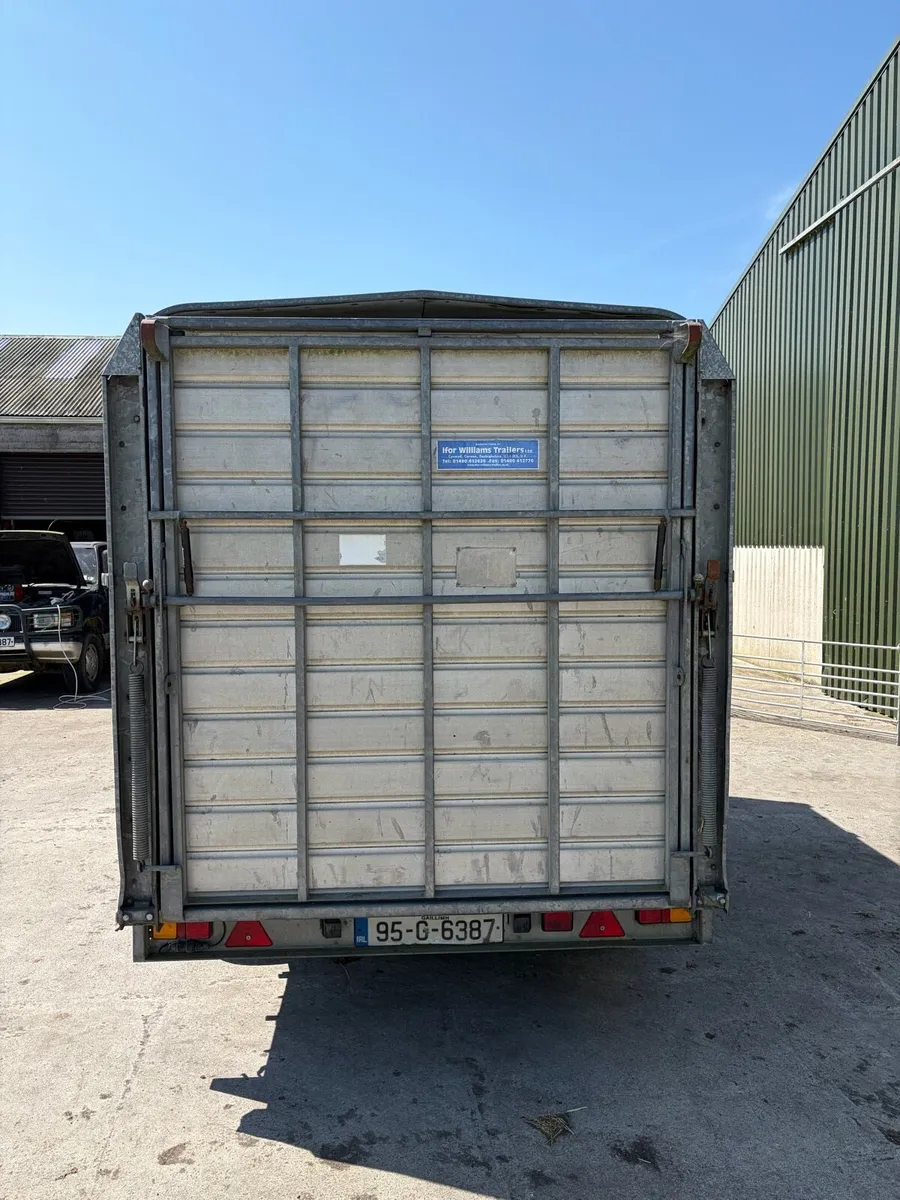 12x6;6 ifor Williams cattle and sheep - Image 2