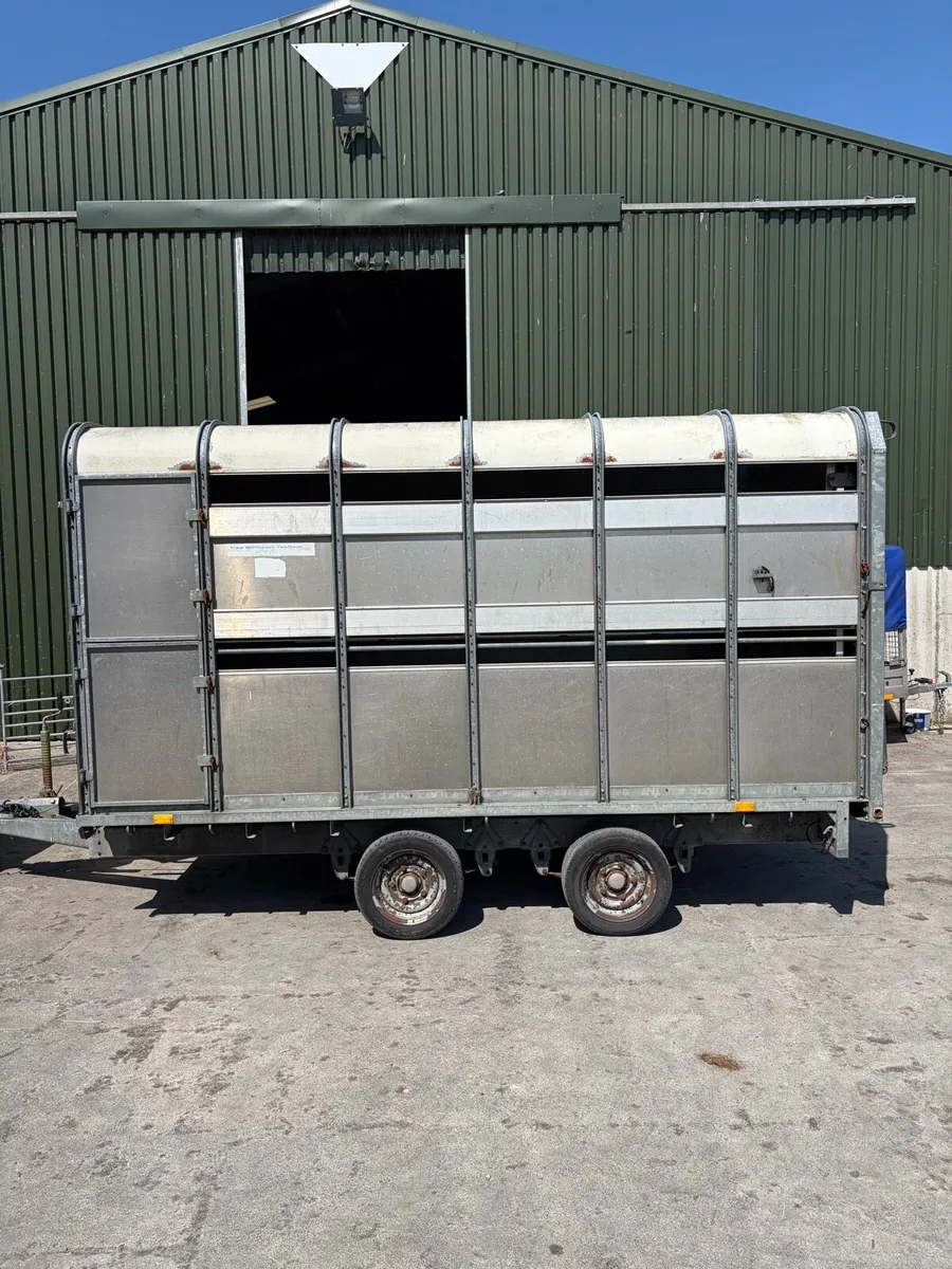 12x6;6 ifor Williams cattle and sheep - Image 3