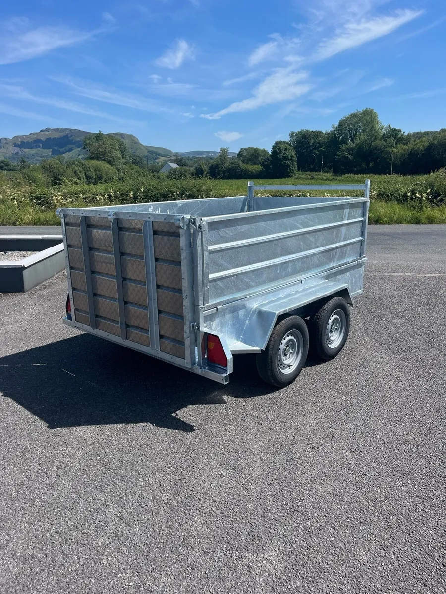 MAE Sheep Trailer - Image 4