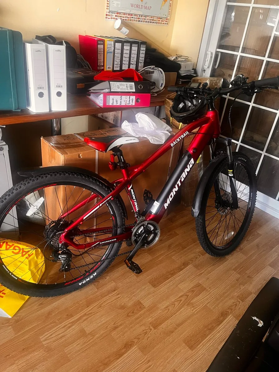 Electric bike - Image 1