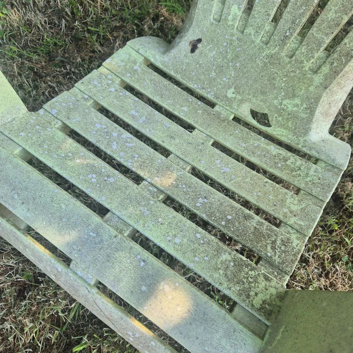 Free old garden chairs - Image 2