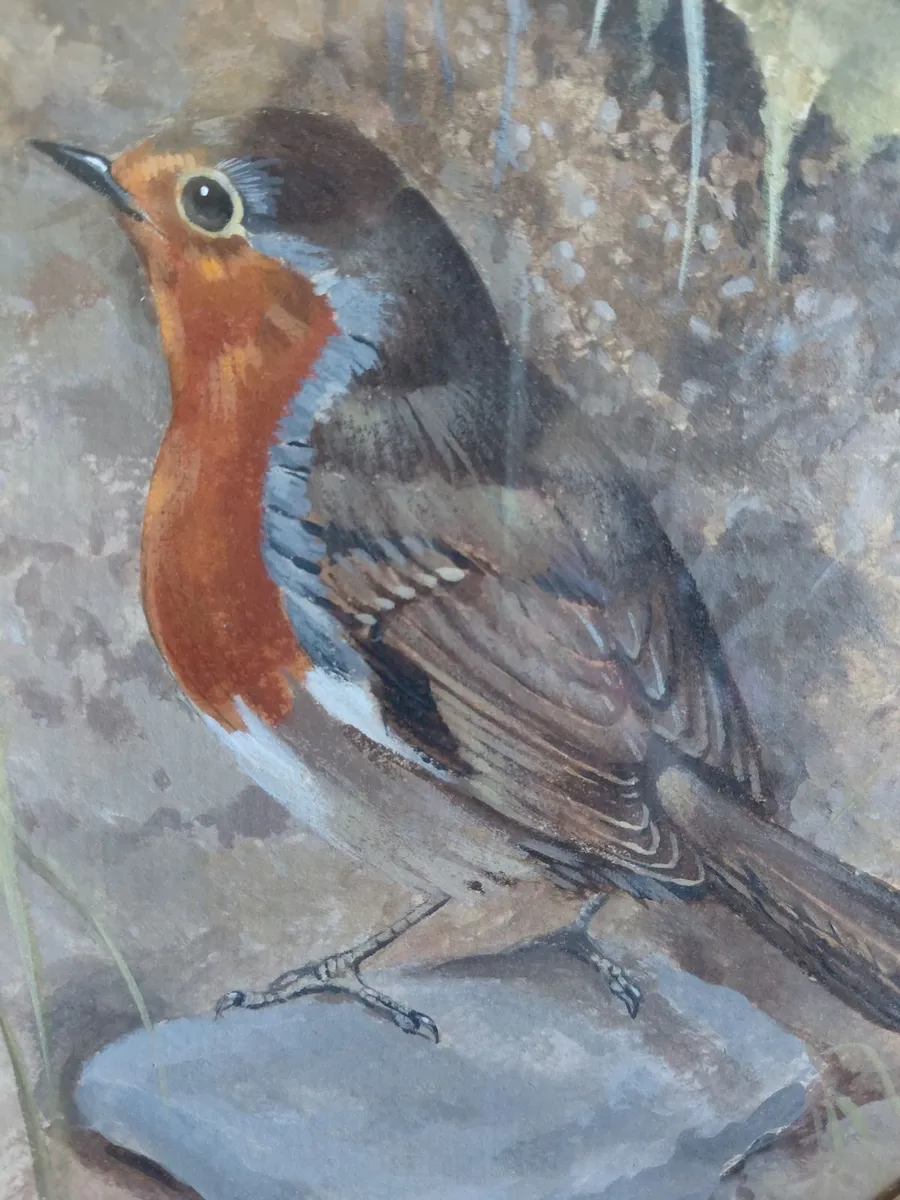 John Crank Robin Watercolour Painting - Image 4