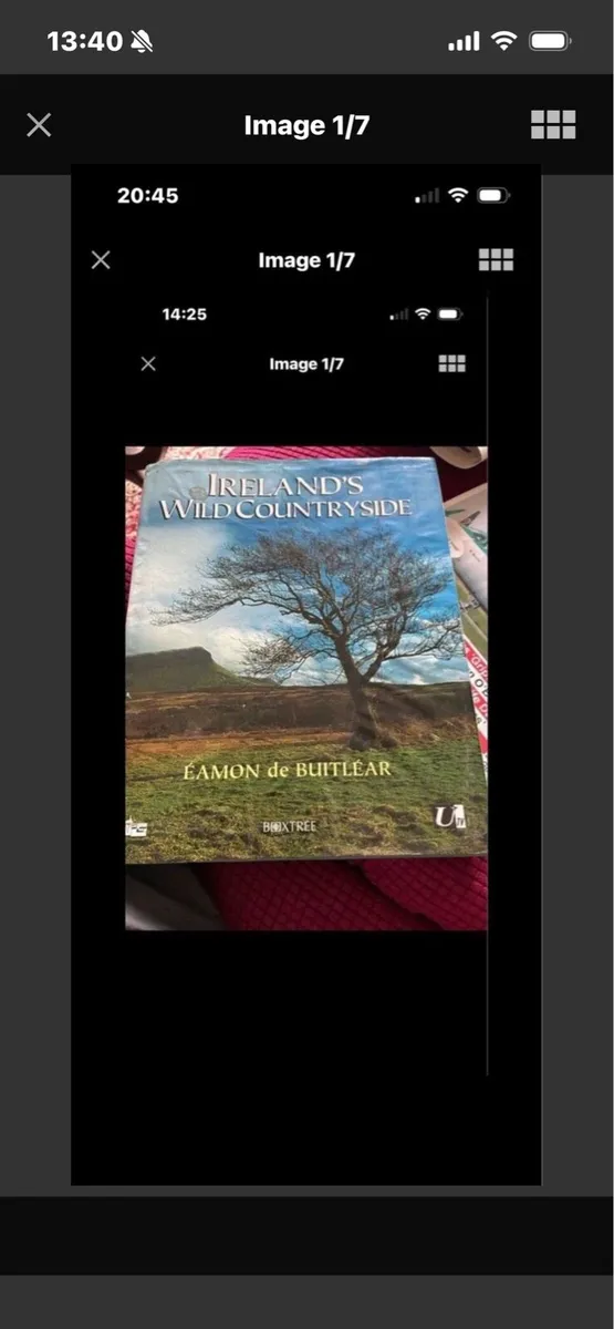 Ireland’s Wild Countryside - Image 1