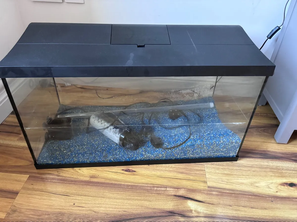 Fish tank - Image 2
