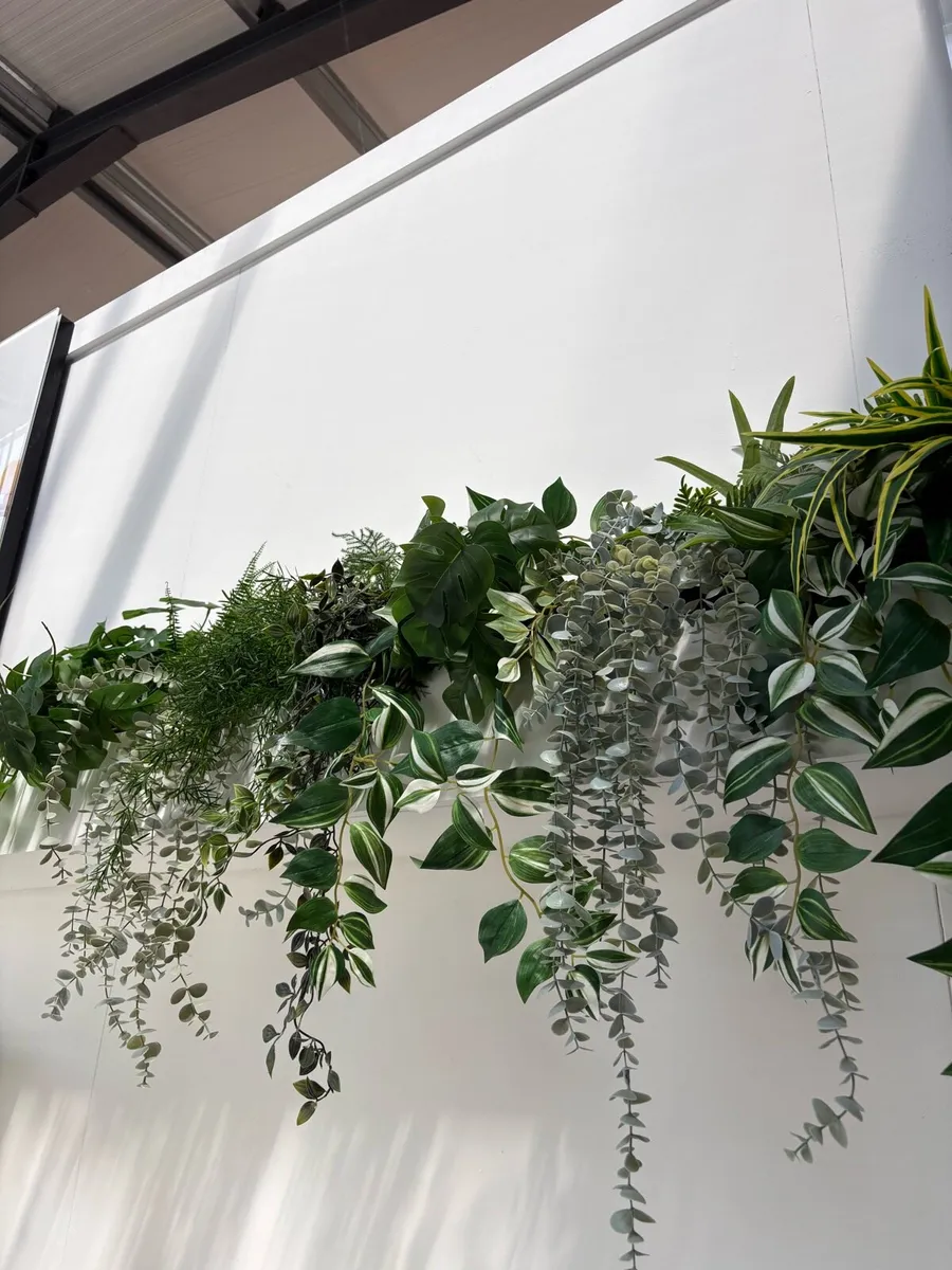 Fake plants - Image 1