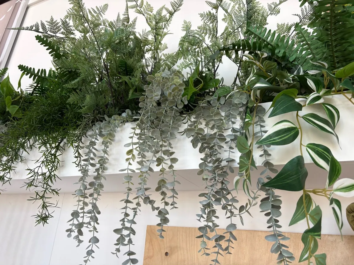 Fake plants - Image 2