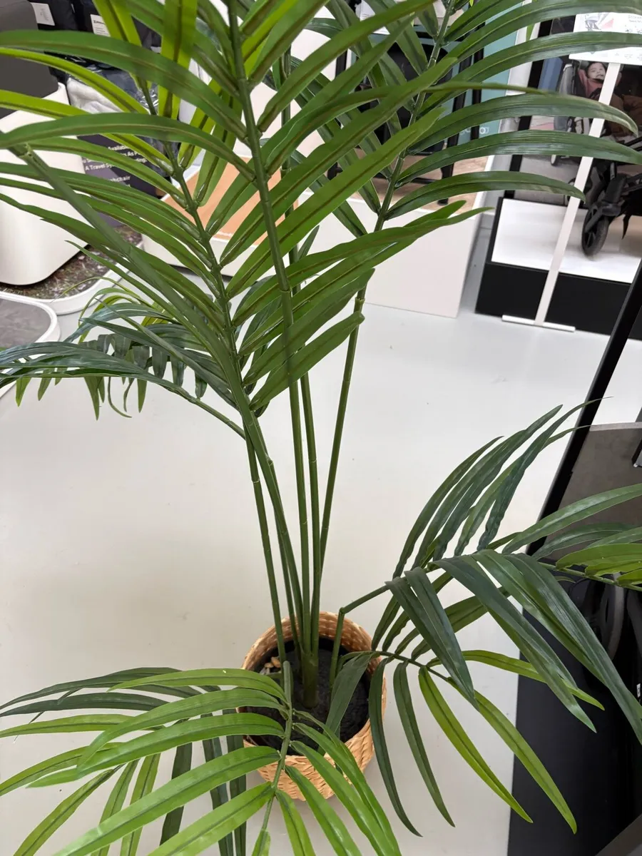 Fake plants - Image 4