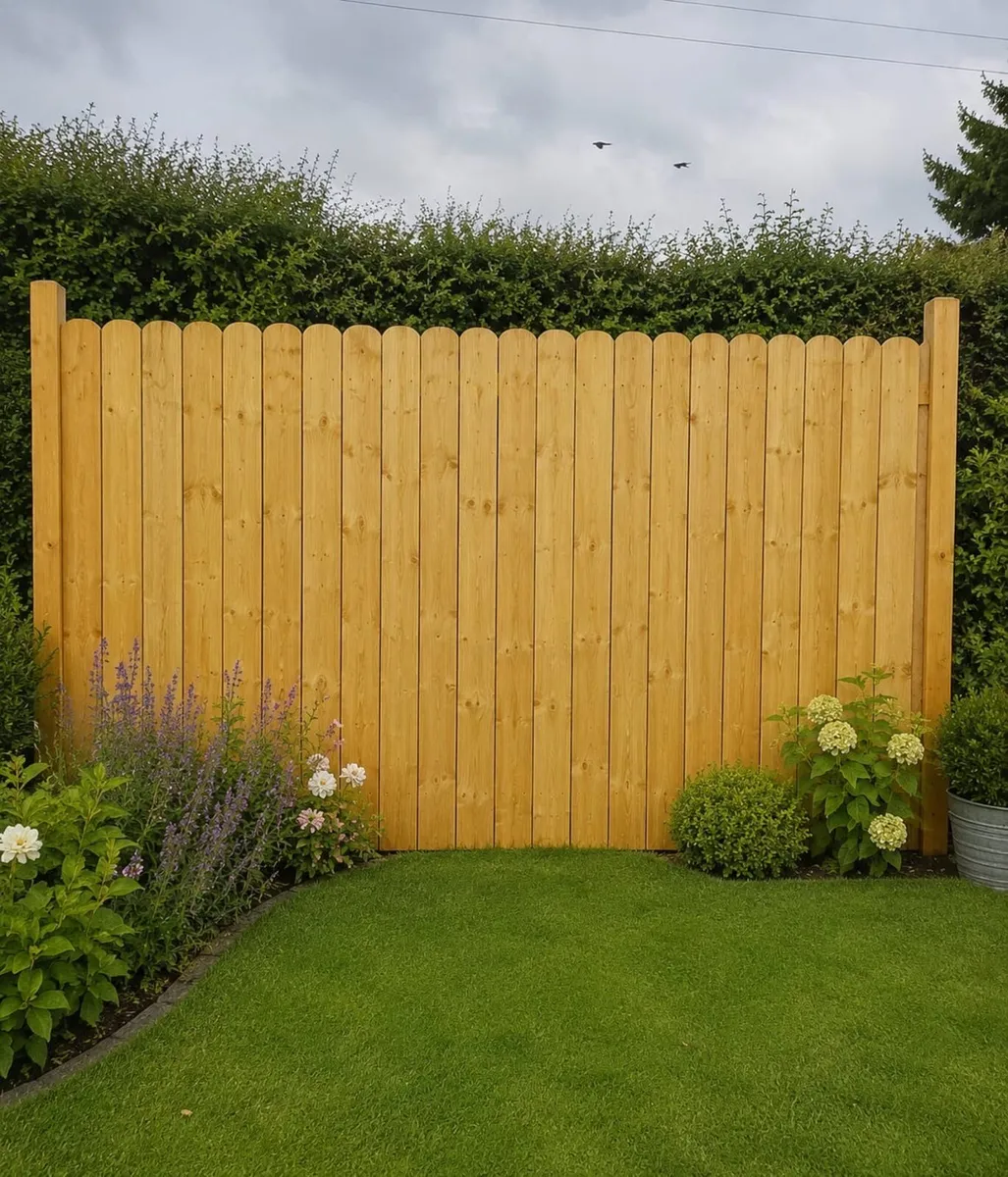 Fencing - Image 3