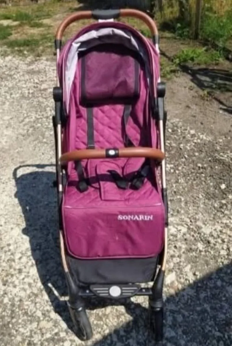 Lightweight buggy - Image 2