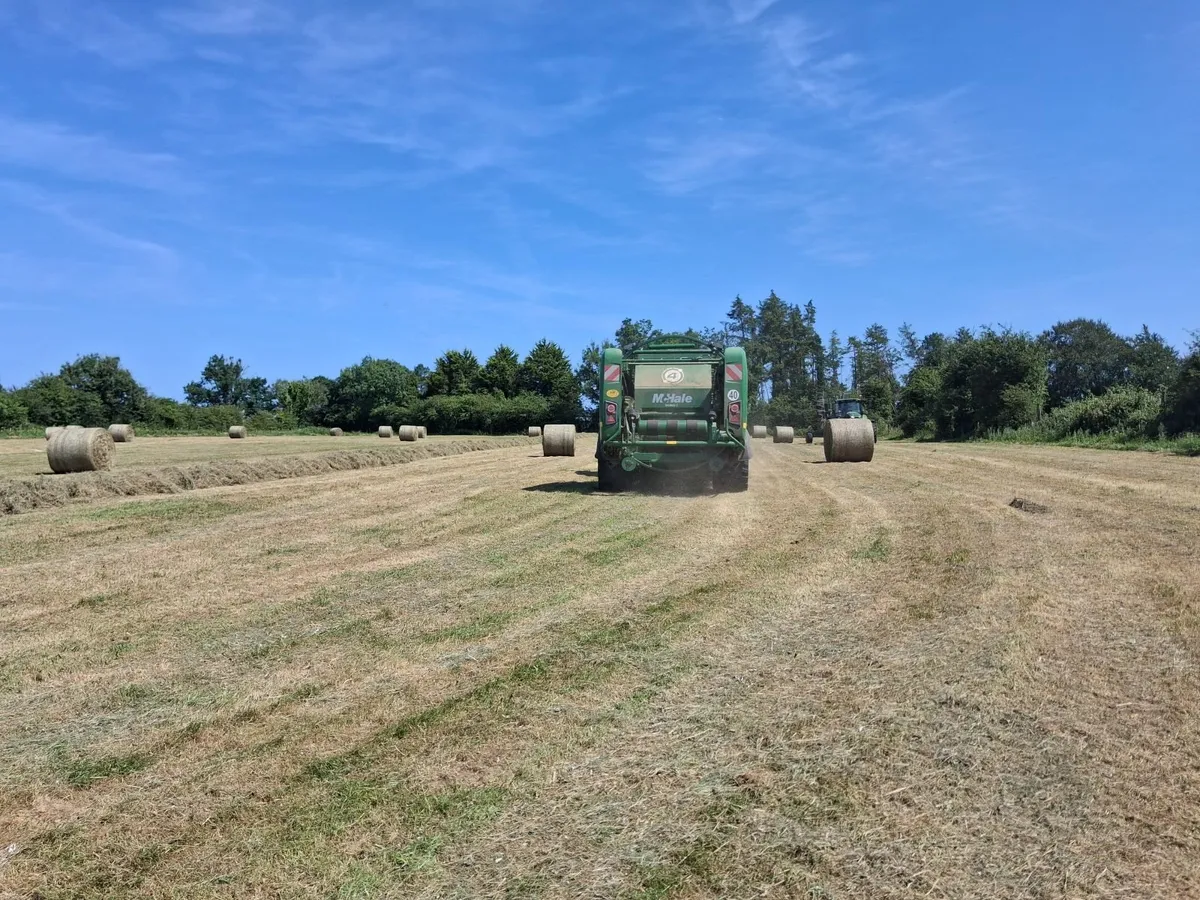 Hay - Image 2