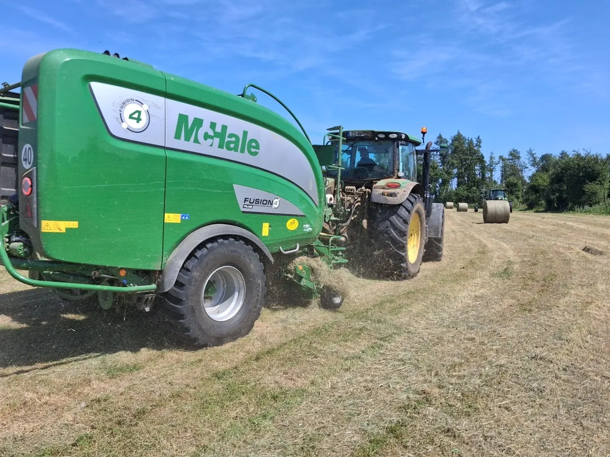 Hay - Image 3