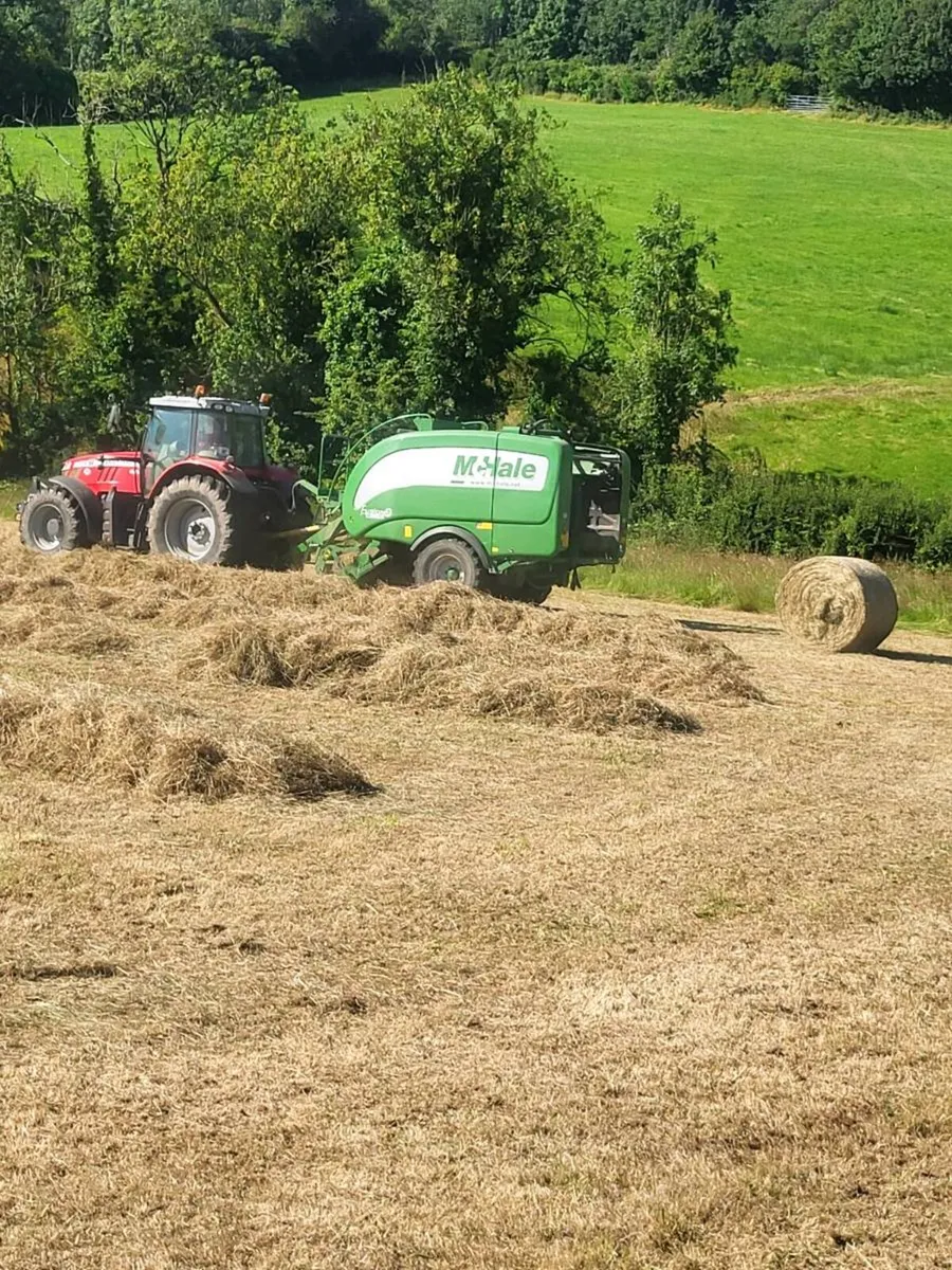 Round Bales Hay - Image 2