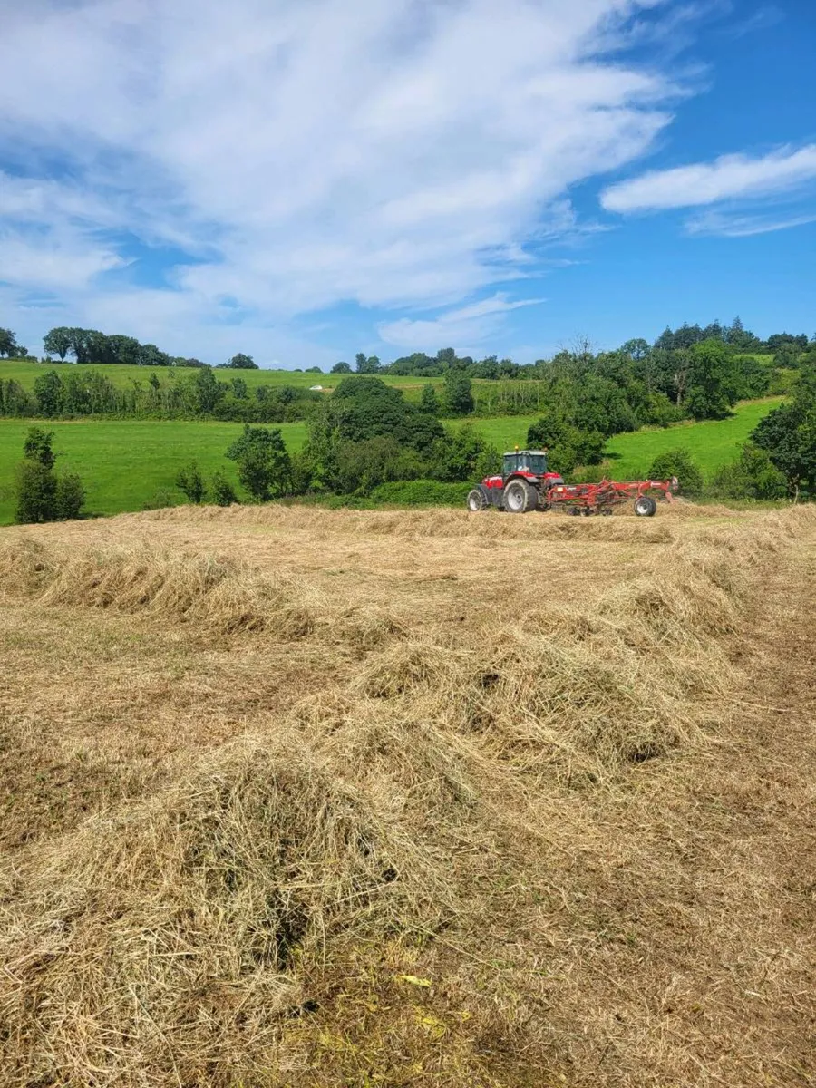 Round Bales Hay - Image 3