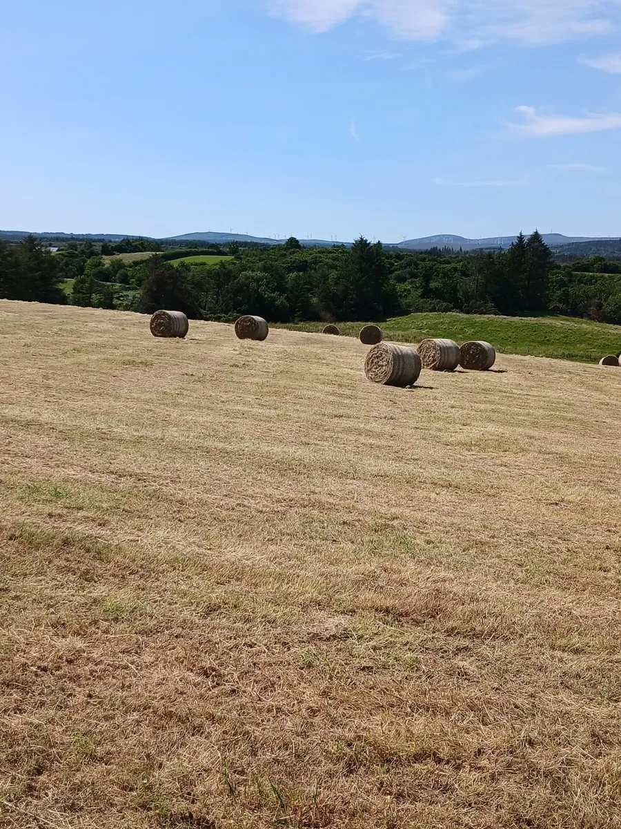 Round bales hay