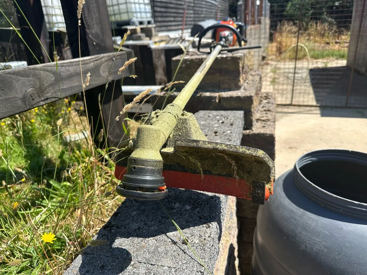 Strimmer - Image 2