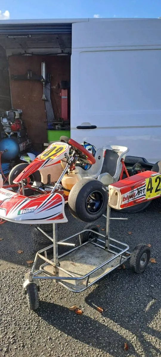 Birel Art Iame Bambino Kart - Image 3