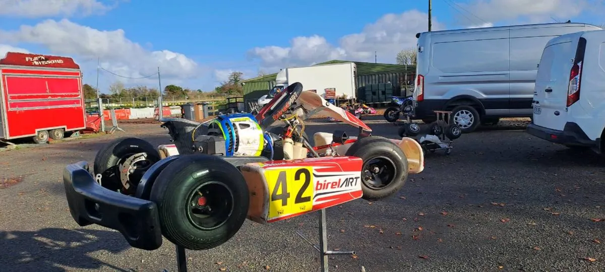 Birel Art Iame Bambino Kart - Image 4