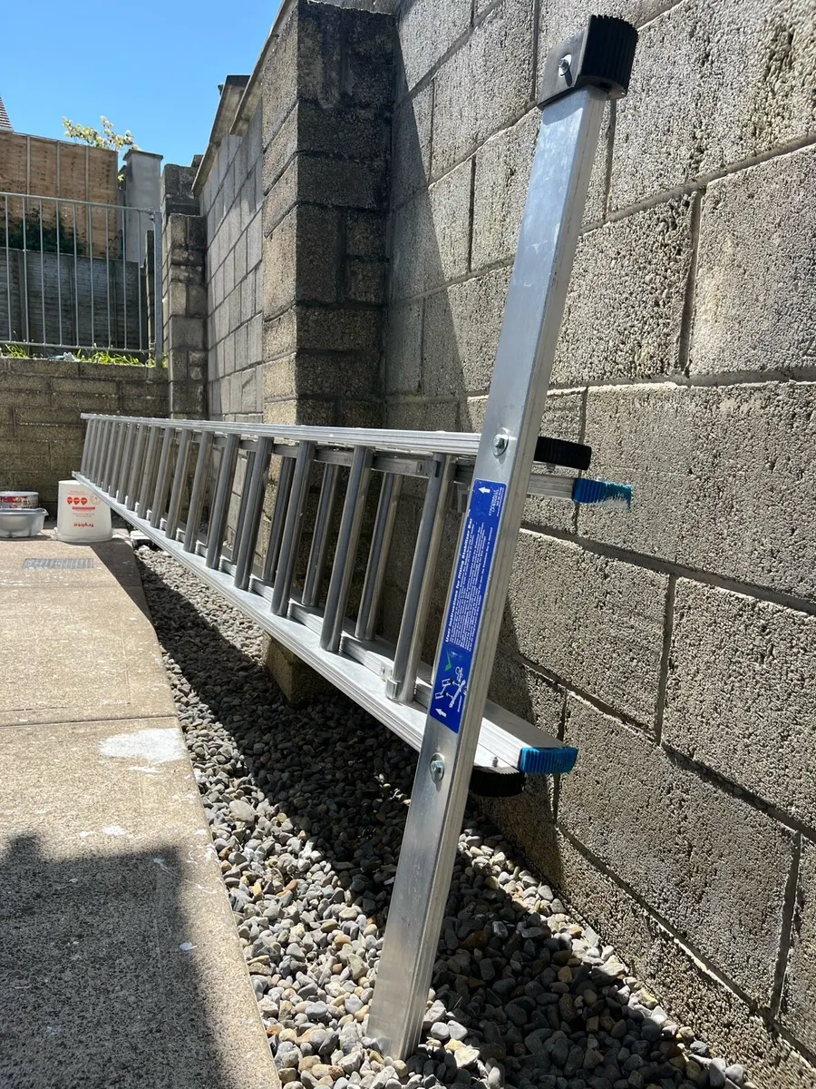 Ladder 30 ft - Image 3