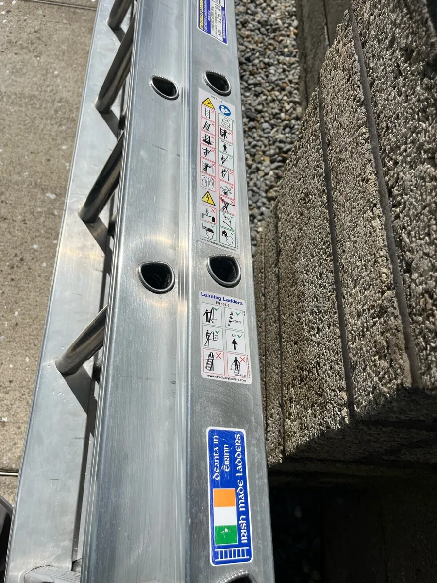 Ladder 30 ft - Image 2