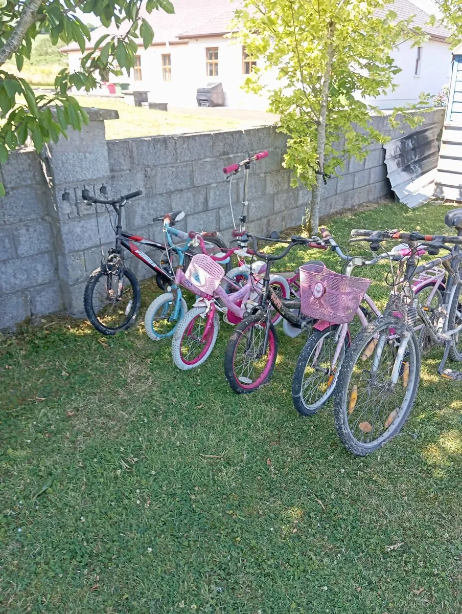 Bikes - Image 1