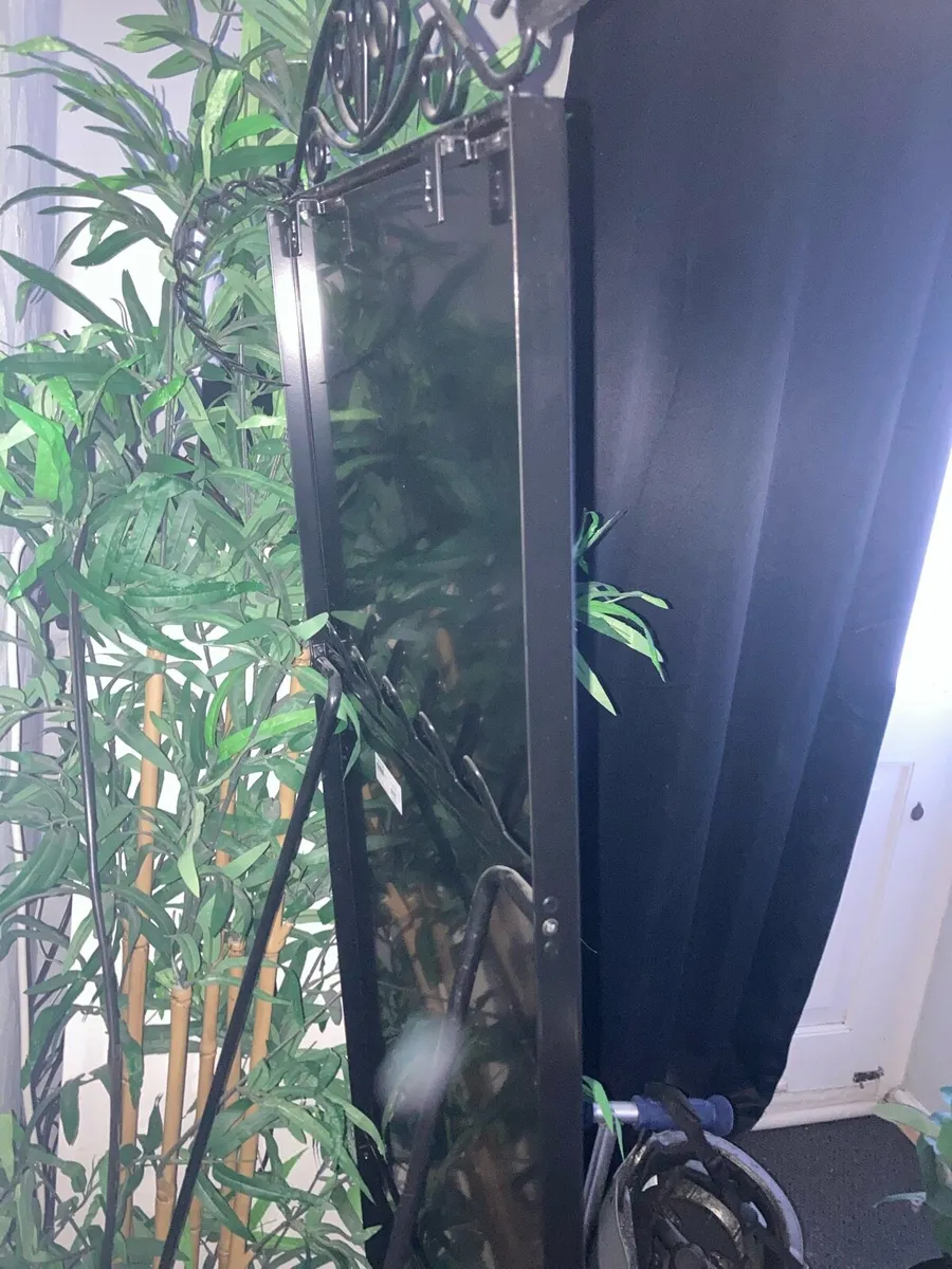 Karsmund Mirror - IKEA - Image 3